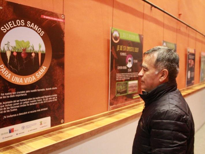 La exhibición se presenta en la sala Foyer, del Museo de Historia Natural de Valparaíso