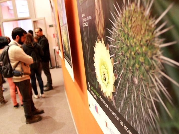 Exposición itinerante  perteneciente al Proyecto Asociativo Regional (PAR) Explora CONICYT Valparaíso, se exhibe en la zona Foyer del MHNV